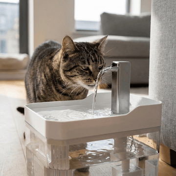 HydraLux - Automatic Pet Fountain