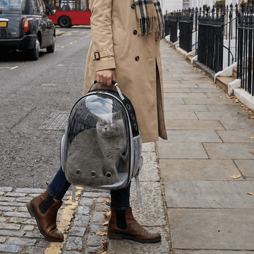 CloudRide - Executive Pet Travel Backpack