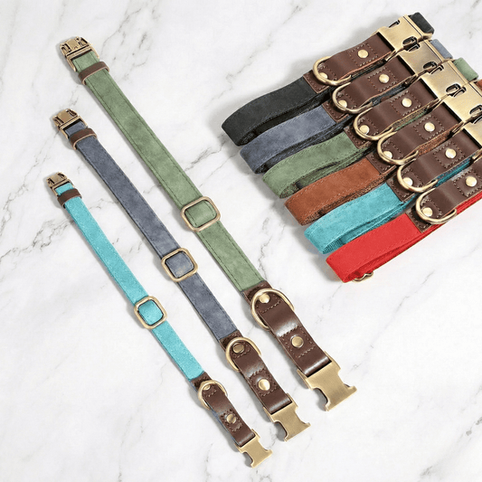 HeritageLock - Premium Dog Collar