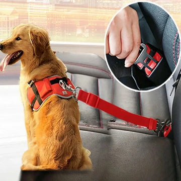 SecureRide - Luxury Dog Seat Belt